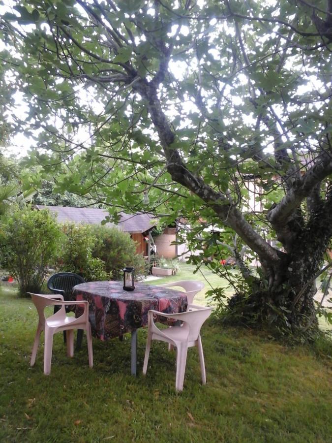 Gite L'Appel De La Foret Betplan Exterior foto